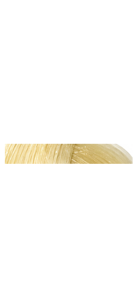 LUSSO Hair Color - 12.13 Pacific Ultra Sandy Blond