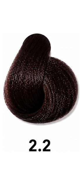 LUSSO Hair Color - 2.2 Bruna Viola