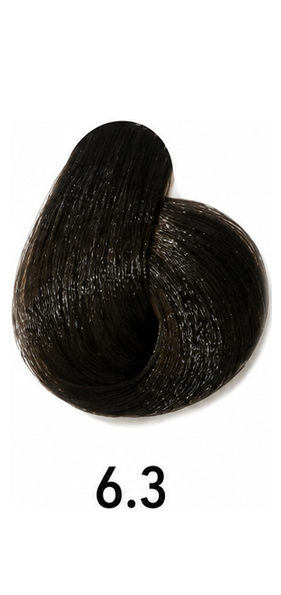 LUSSO Hair Color - 6.3 Dark Golden Blond