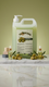 Sticky Image
